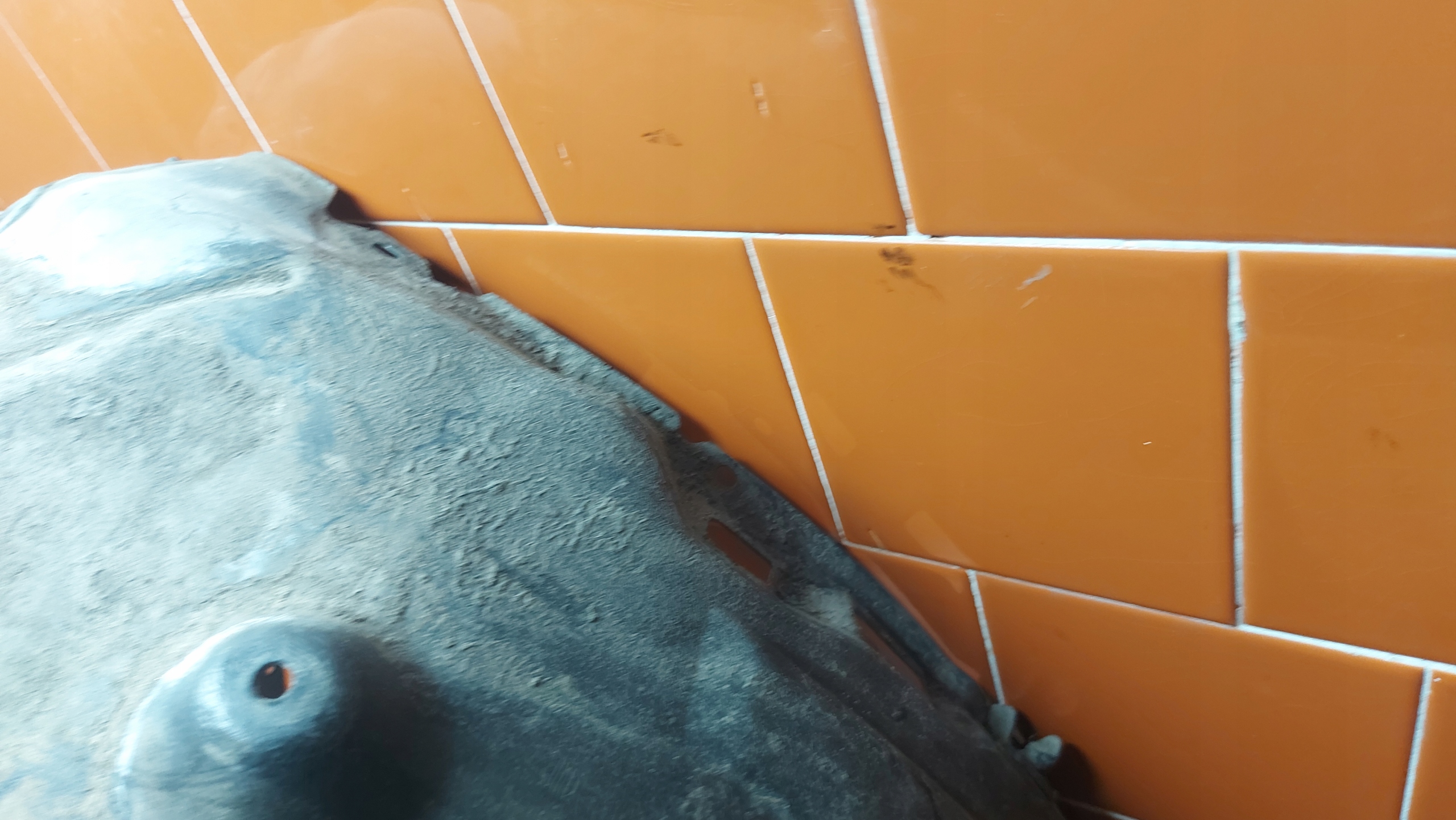 mudguard left left front front TOYOTA CAMRY VIII 17