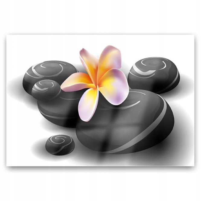 

Grafika na Szkle Foto Kwiat Kamienie Natura 100x70