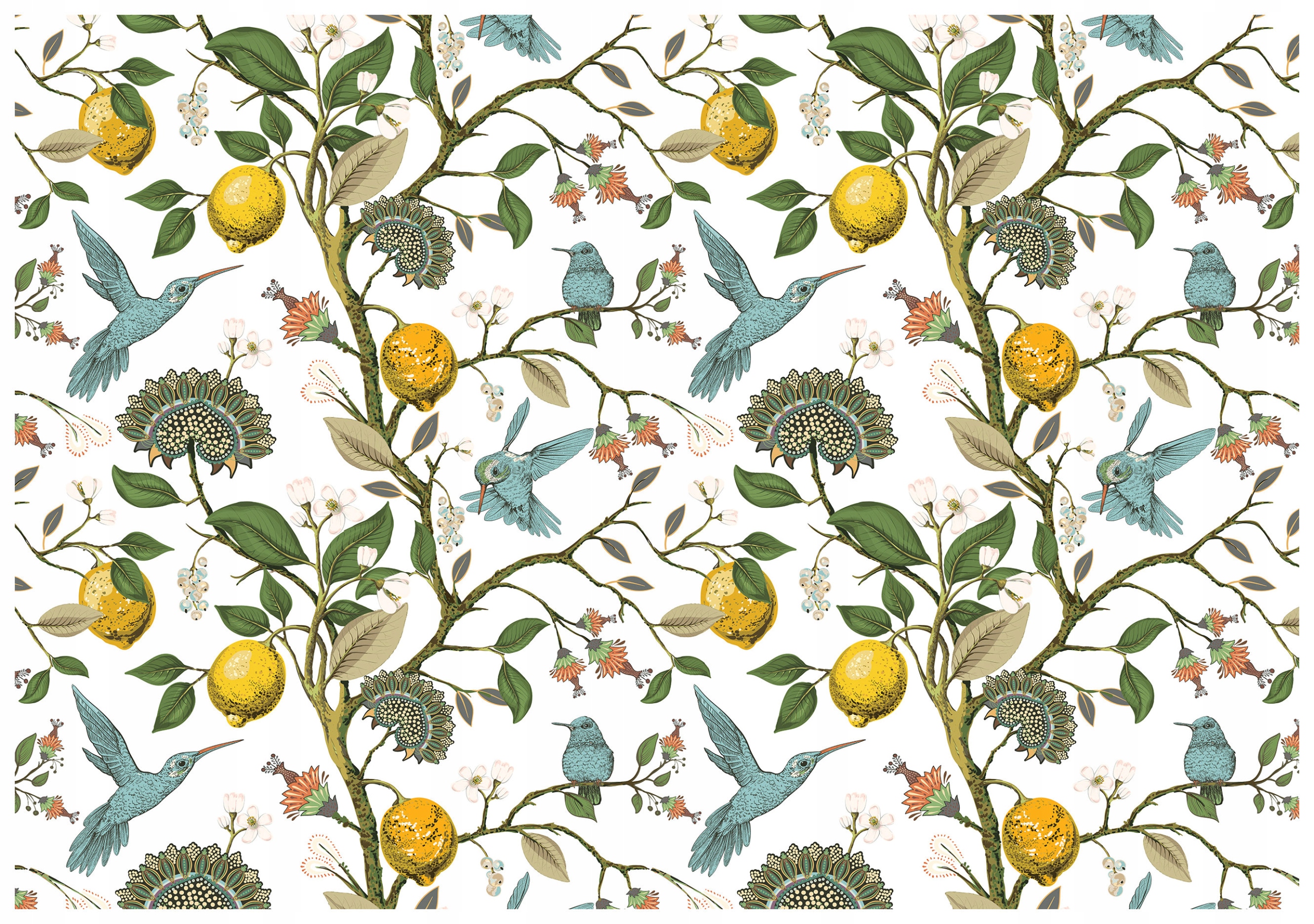 Fototapeta Kolibříci citrony květiny radostný design 368x254 do pokoje lepidlo