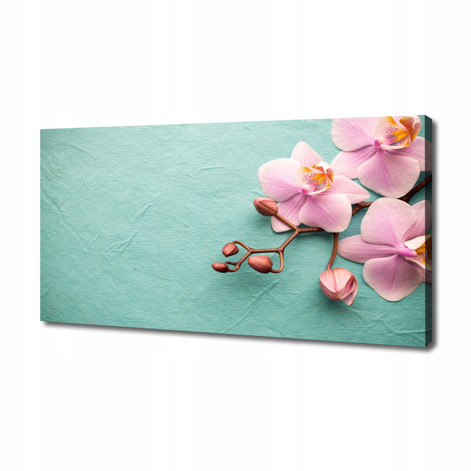 

Foto obraz canvas na ścianę Orchidea 140x70 cm