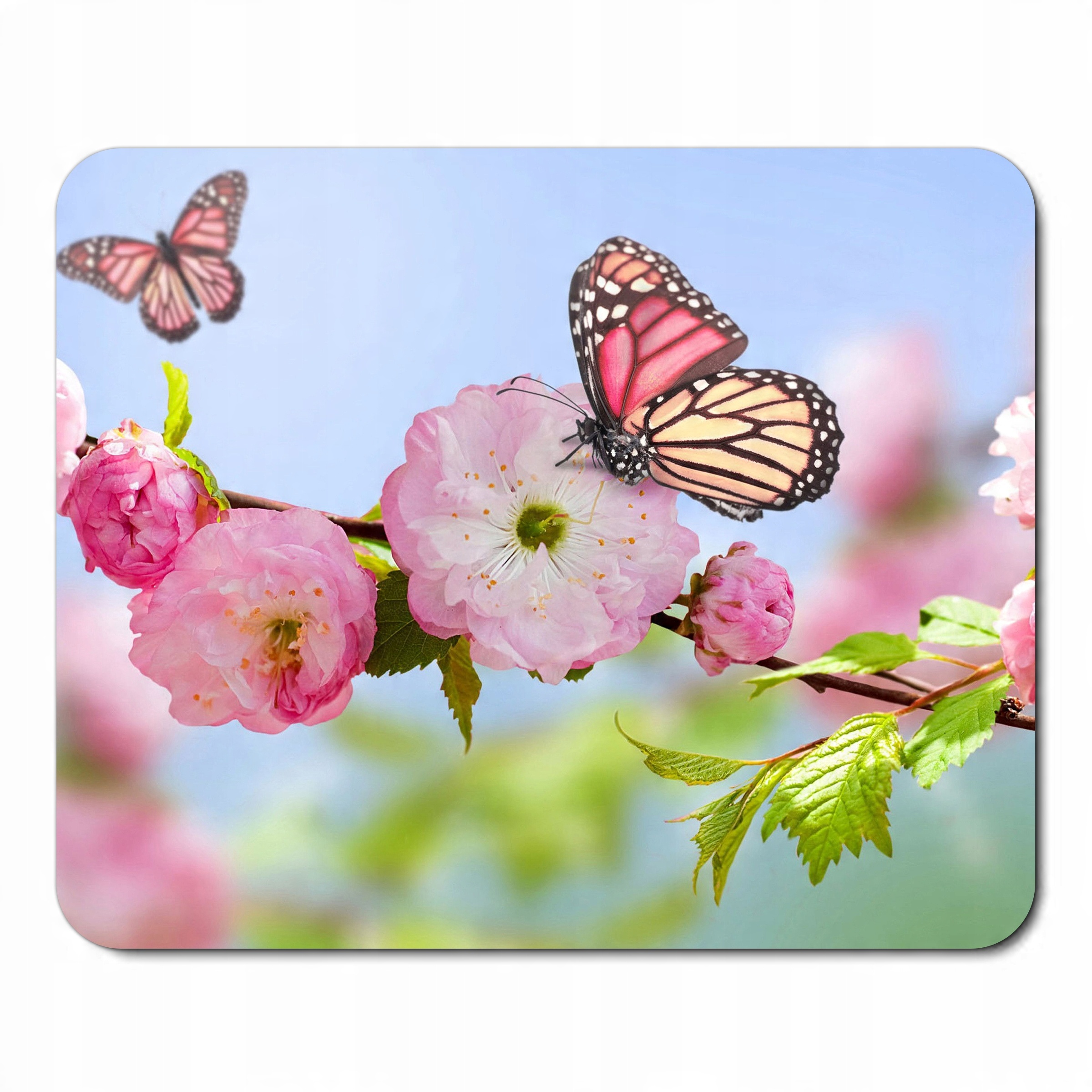 

Podkładka pod mysz myszkę Motyle Motyl Butterfly