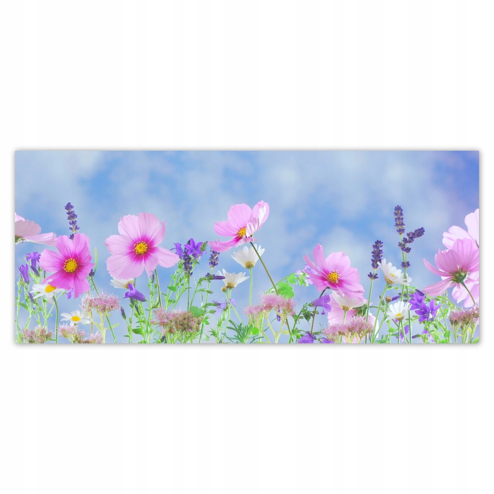

Fototapety flizelina 250x104 Delikatne kwiatki