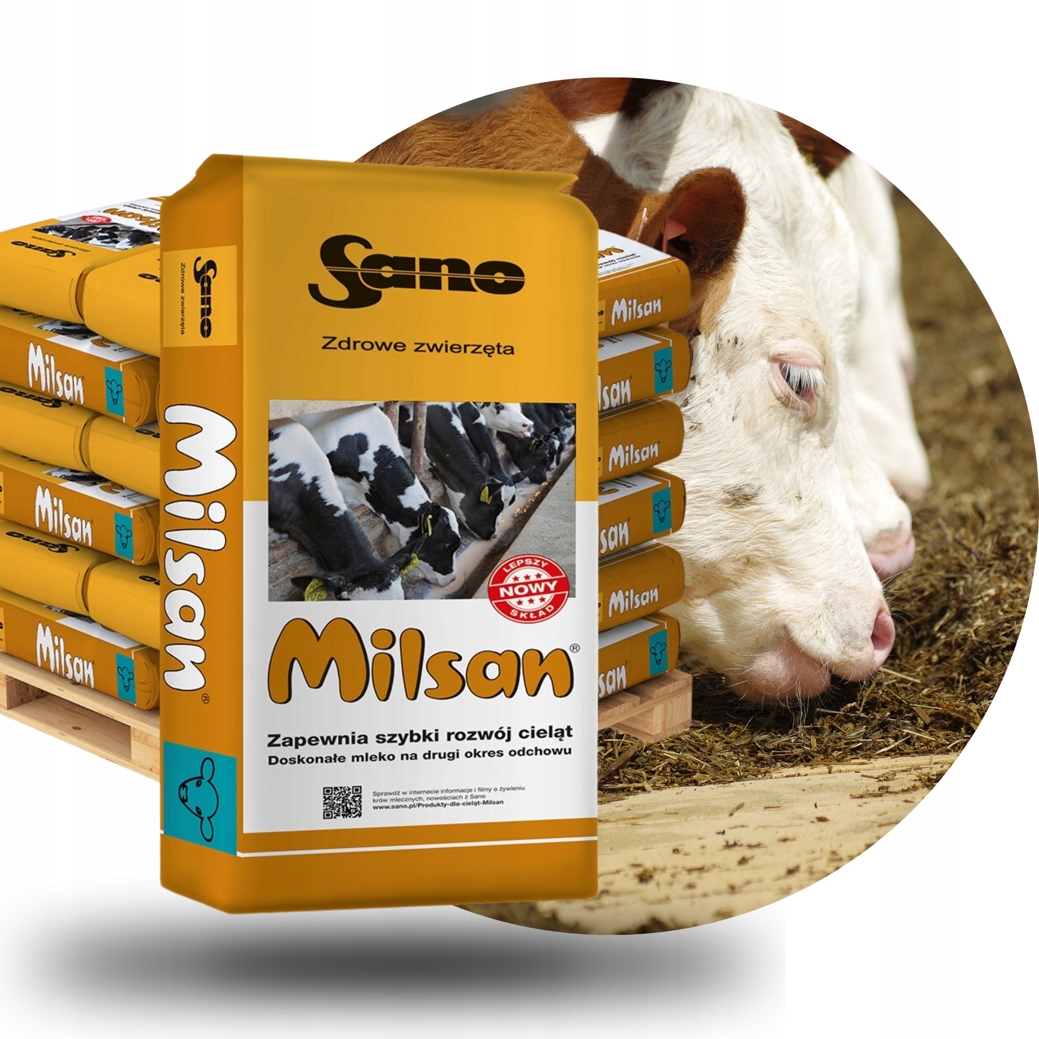 Milsan Sano 25 kg mleko dla cieląt od 3 tyg. życia