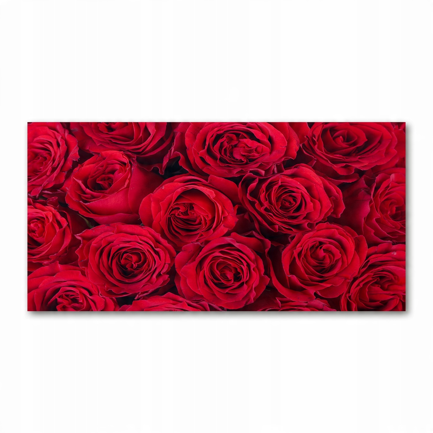 

Foto-obraz akrylowy na ścianę dużyRóże 120X60 cm