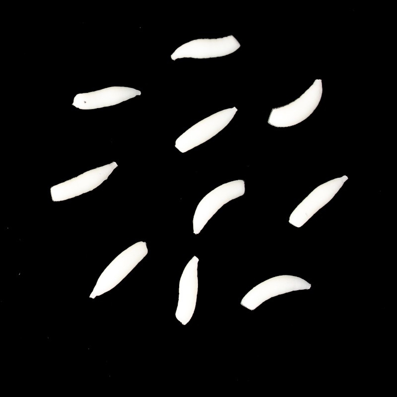 Sztuczna Przynęta Undercarp Biały Robak Maggot Pływający 10szt. Na Karpia Kod producenta UC261