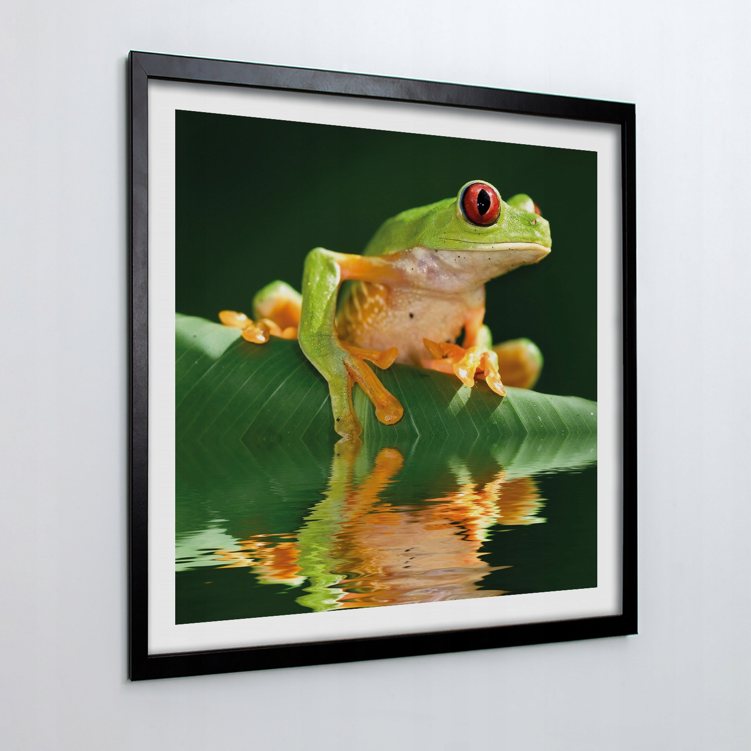 Nástěnný obraz s rámečkem Žába voda list oči 50x50 cm