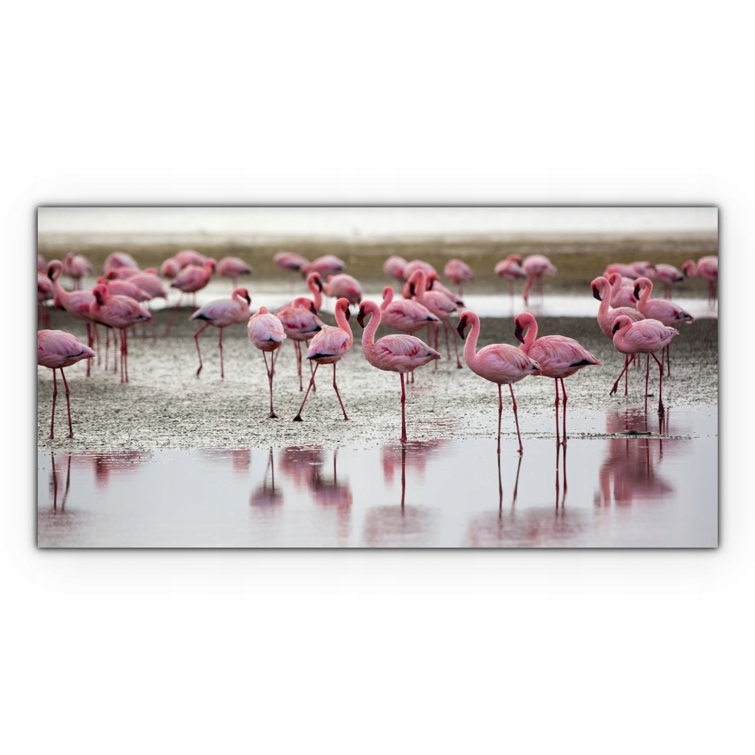 

Canvas do sypialni 100x50 Flamingi Ptak Zwierzęta