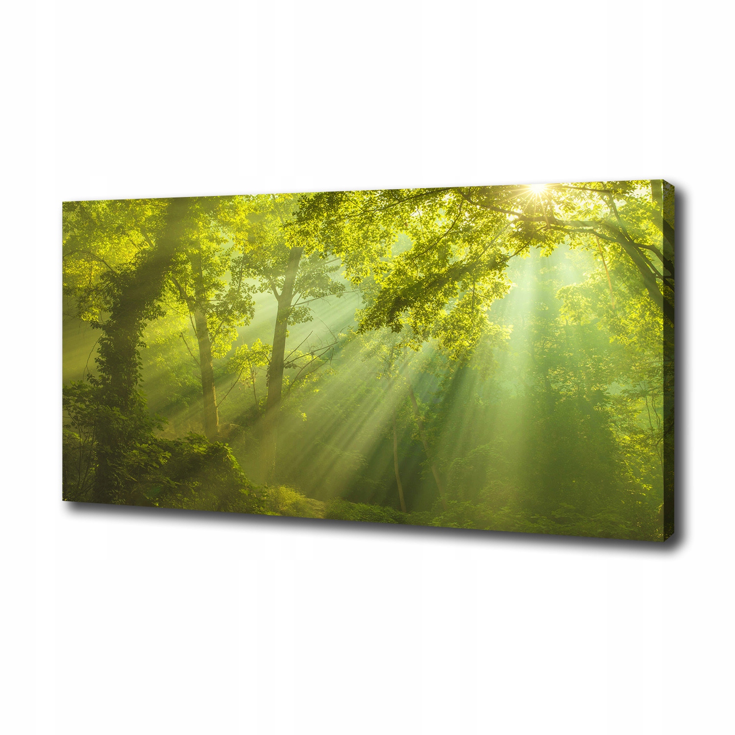 

Duży foto obraz na płótnie Las w słońcu 100x50 cm