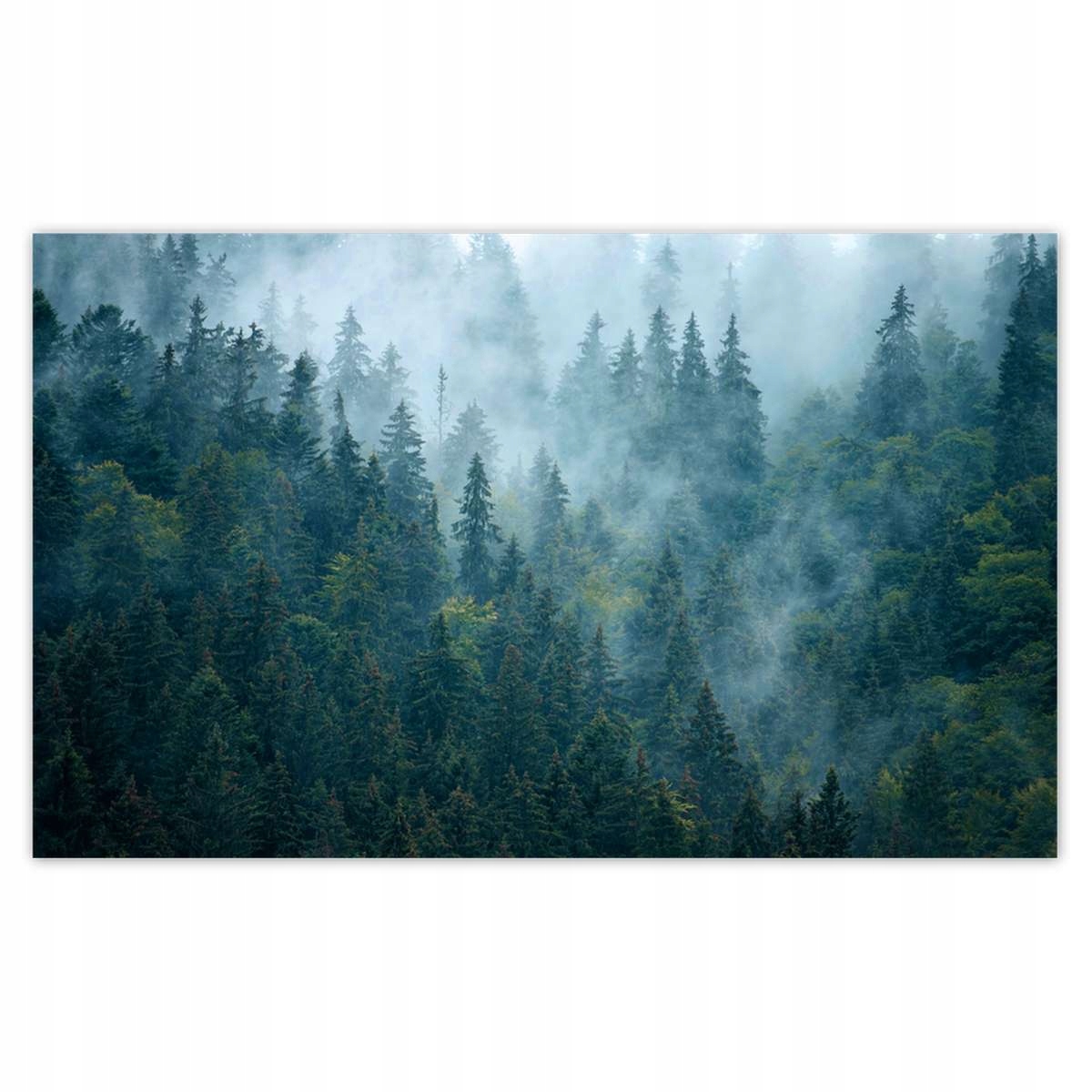 Fototapety 416x254 Les v hmle Cestovanie