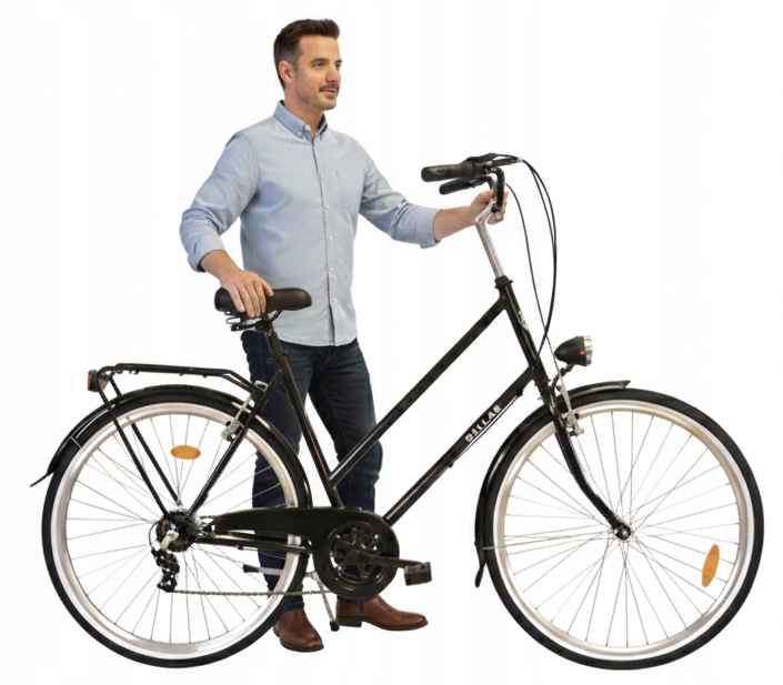 Męski Rower Miejski 28 Dallas 21cali wysoka rama