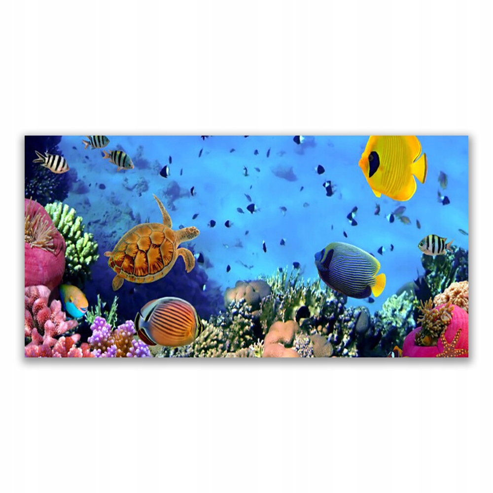 

Fotoobraz nowoczesny 120x60 Rafa Koralowa Przyroda