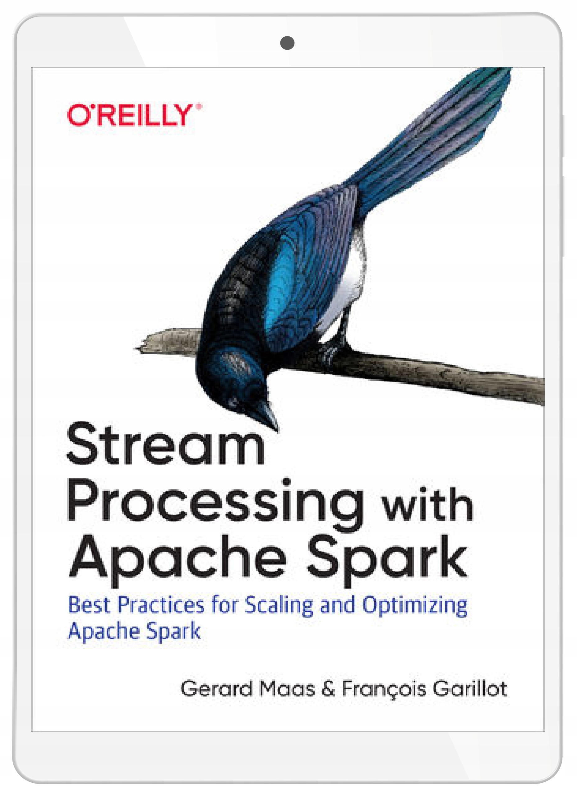 Stream Processing with Apache Spark. Mastering