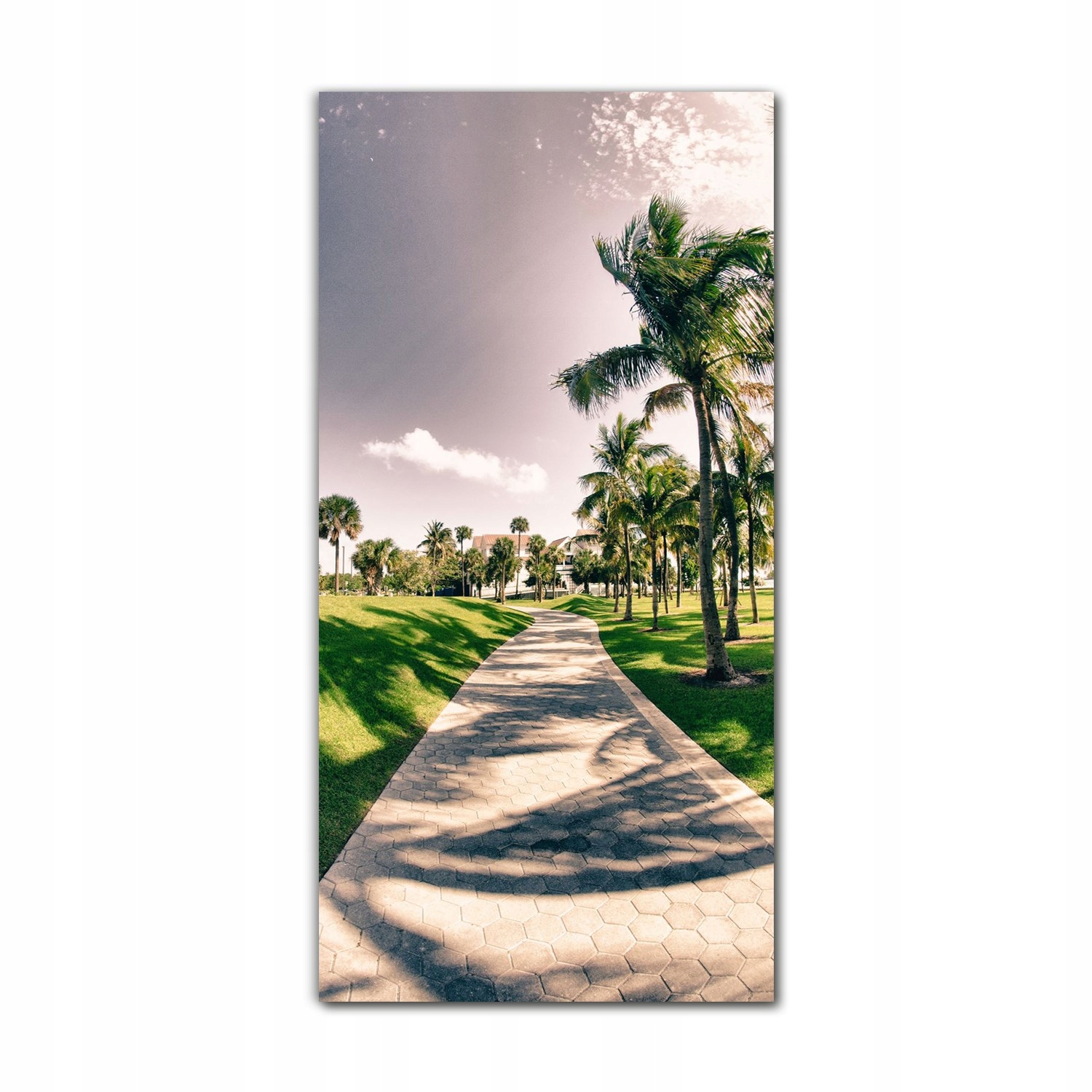 

Foto-obraz na szkle do kuchni 70x140 Floryda Miami