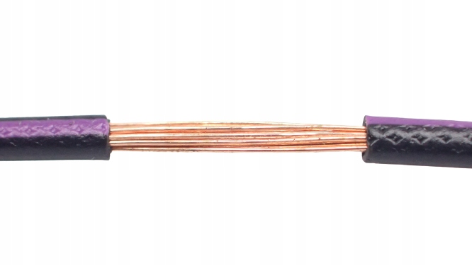 

Przewód Kabel Flry-b 1x0,5mm Czarno Fiolet 10m