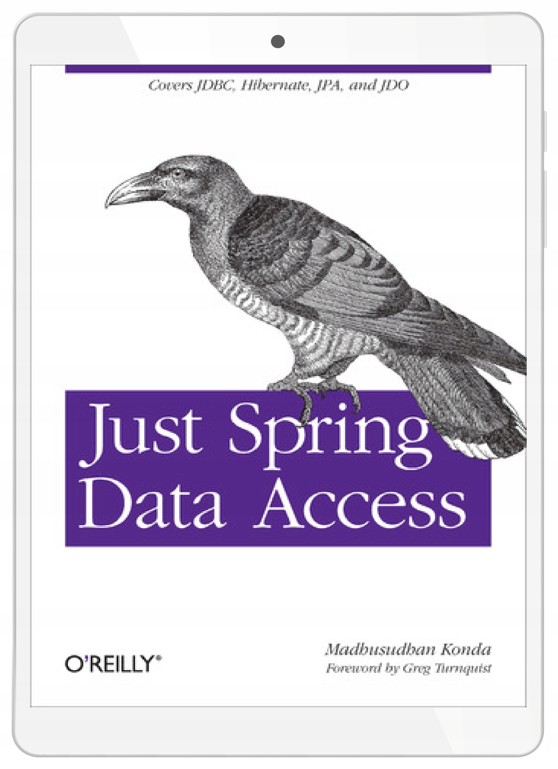 Just Spring Data Access