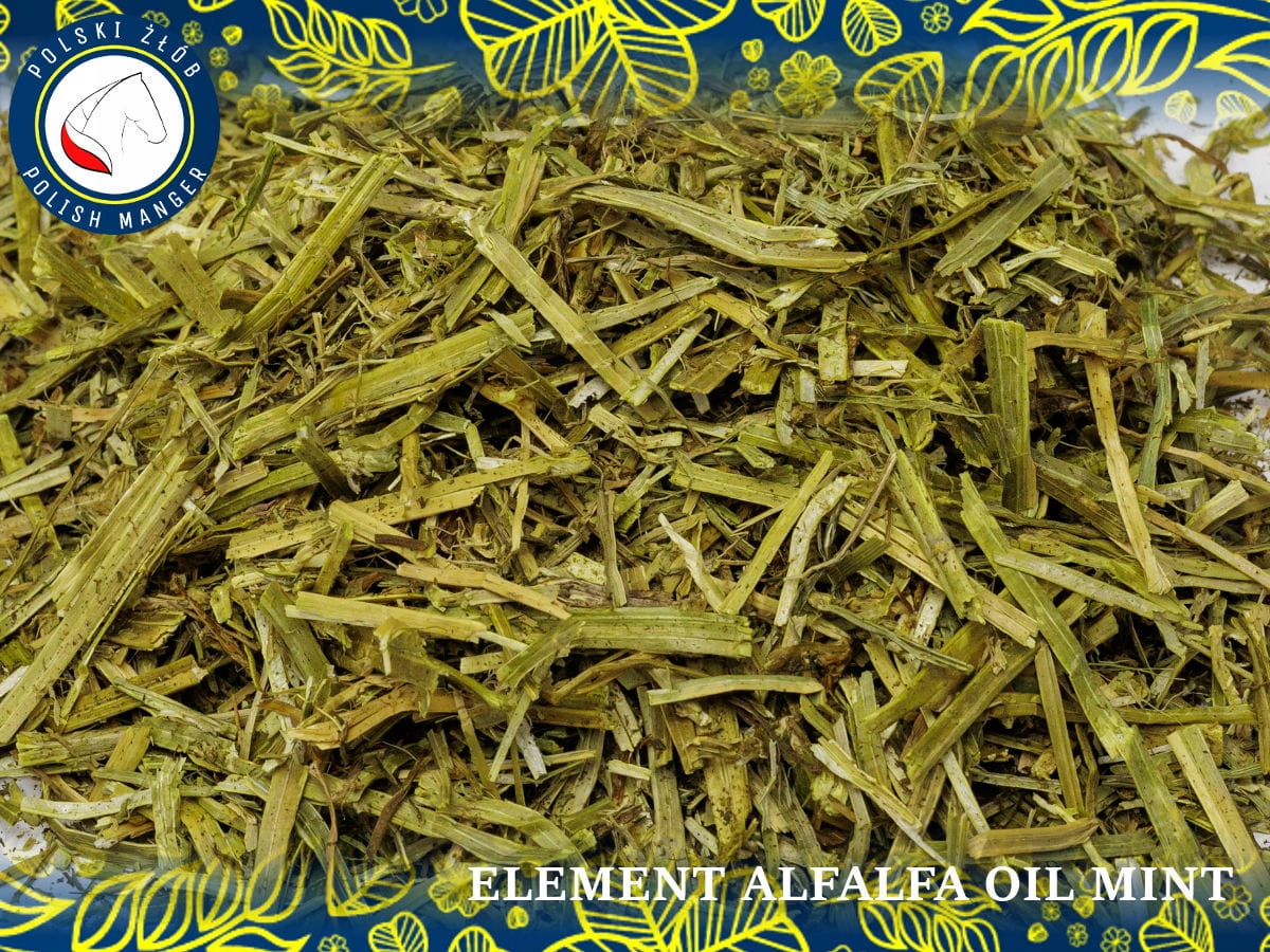 AlfAlfa Oil Mint 12,5kg - sieczka z lucerny z doda EAN (GTIN) 5904107775258