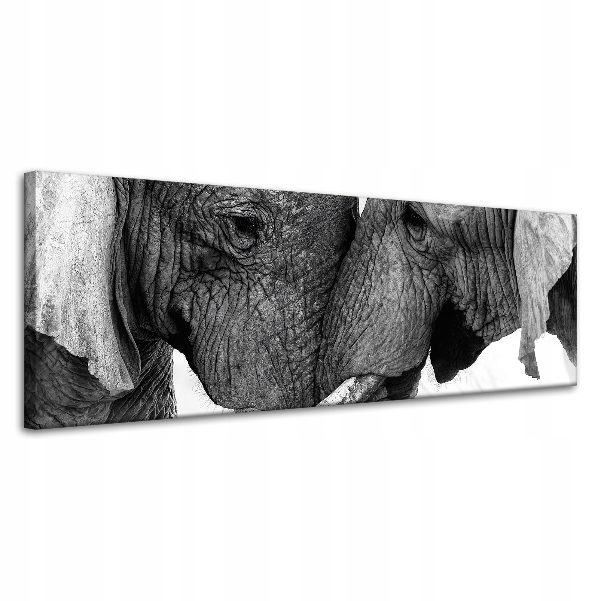 Obraz na plátně Zblízka Slonů Šedá Příroda 120x40 cm