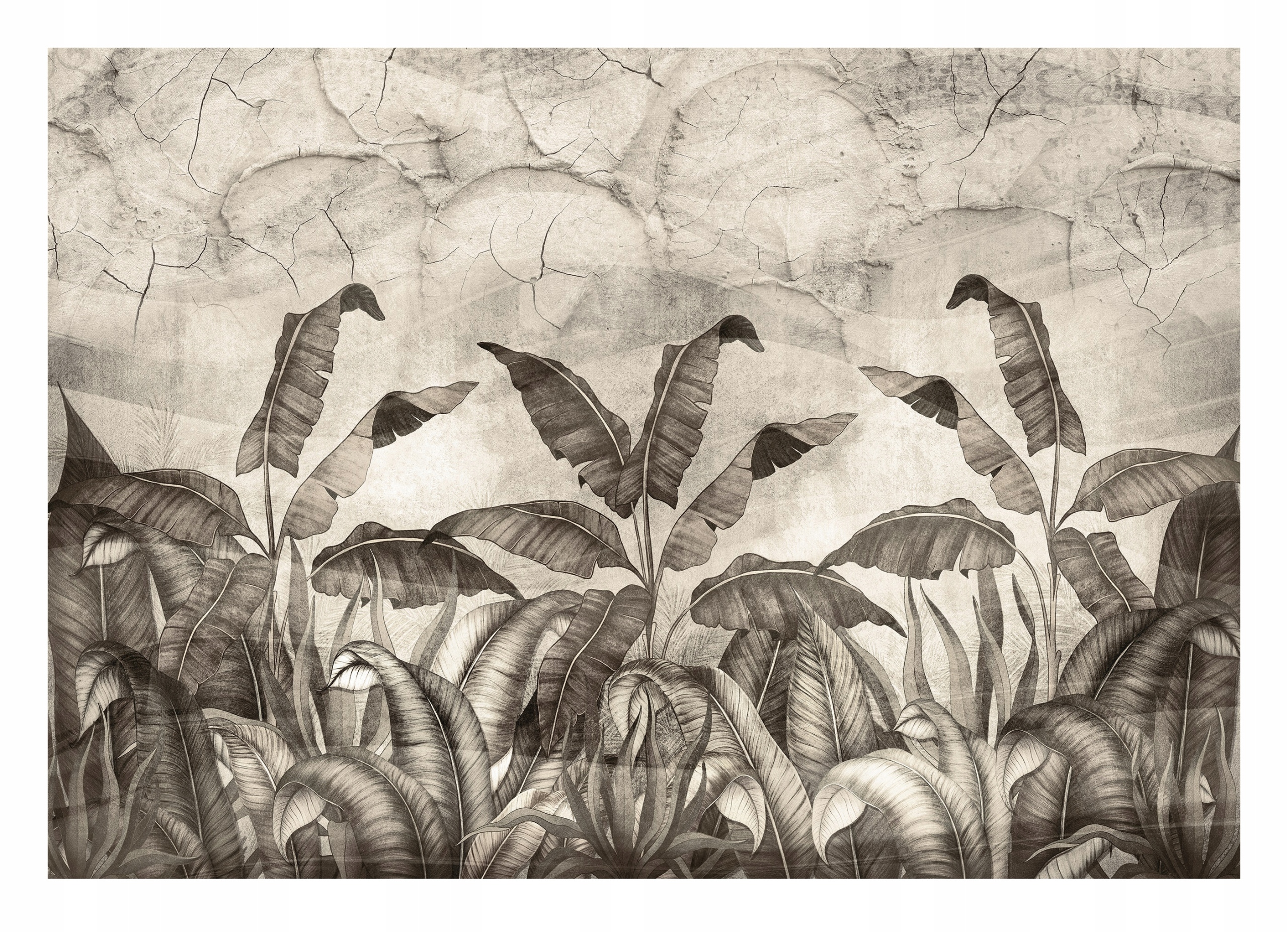 Fototapeta Listy Betón Imitácia Vintage 368x254