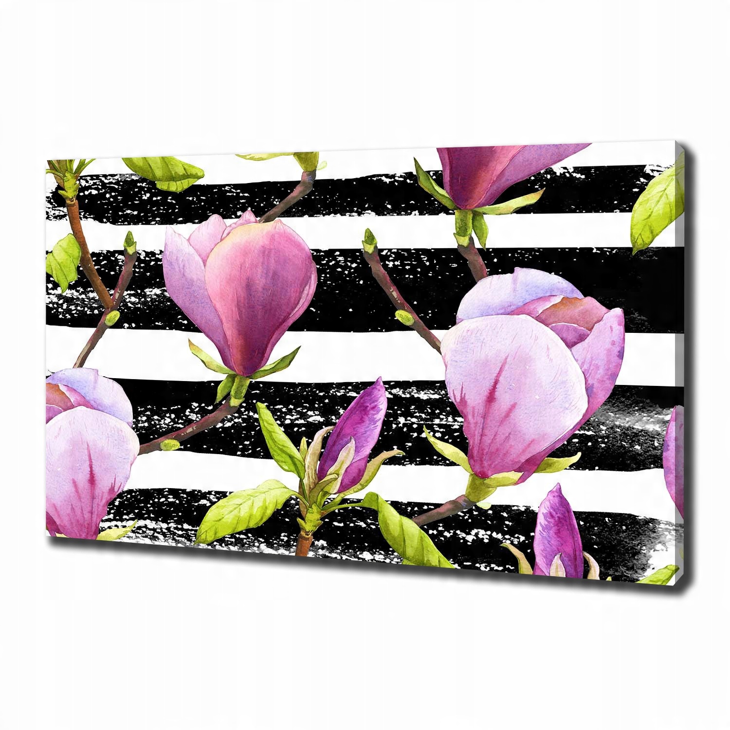 

Foto obraz na płótnie Magnolia paski 100x70 cm