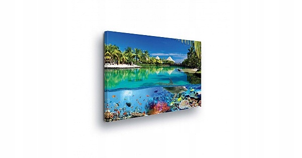 Obraz 100x75 Tropiky ráj laguna oceán podmořský svět korály ryby palmy