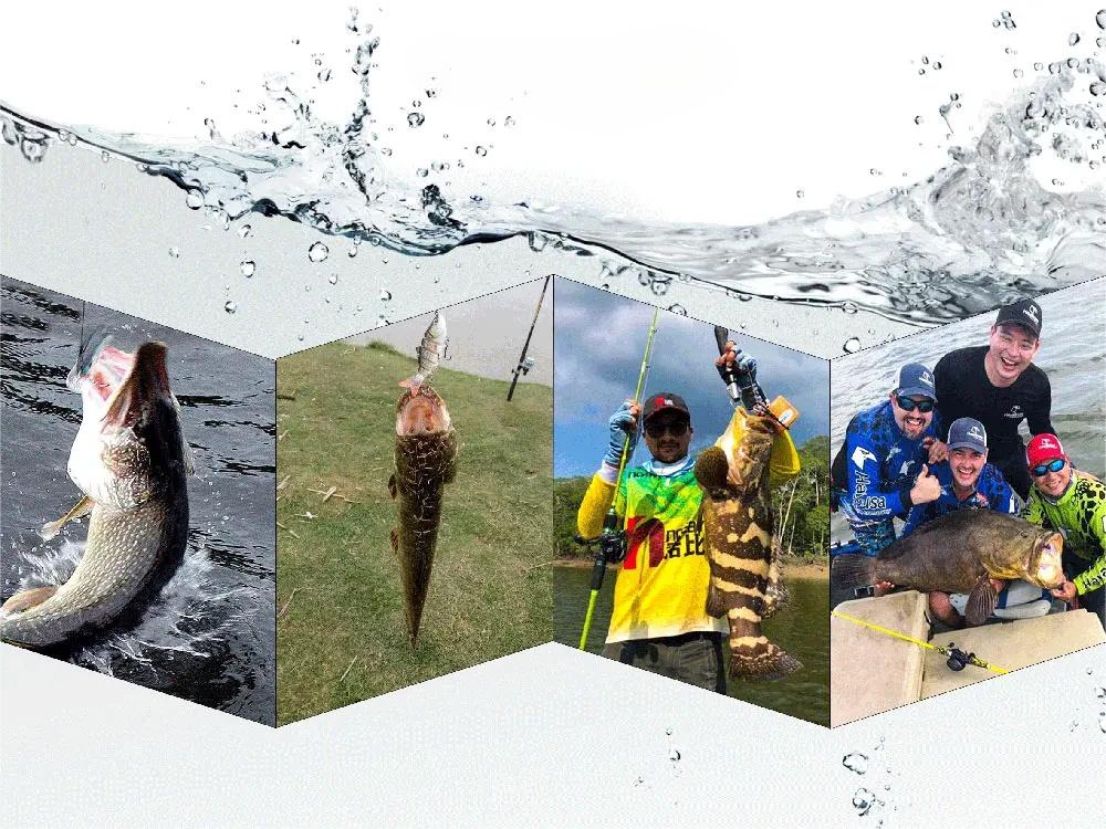 PRZYNĘT ELEKTRYCZNY ŻYWIEC - PRZYNĘTA WĘDKARSKA Kod producenta 345466