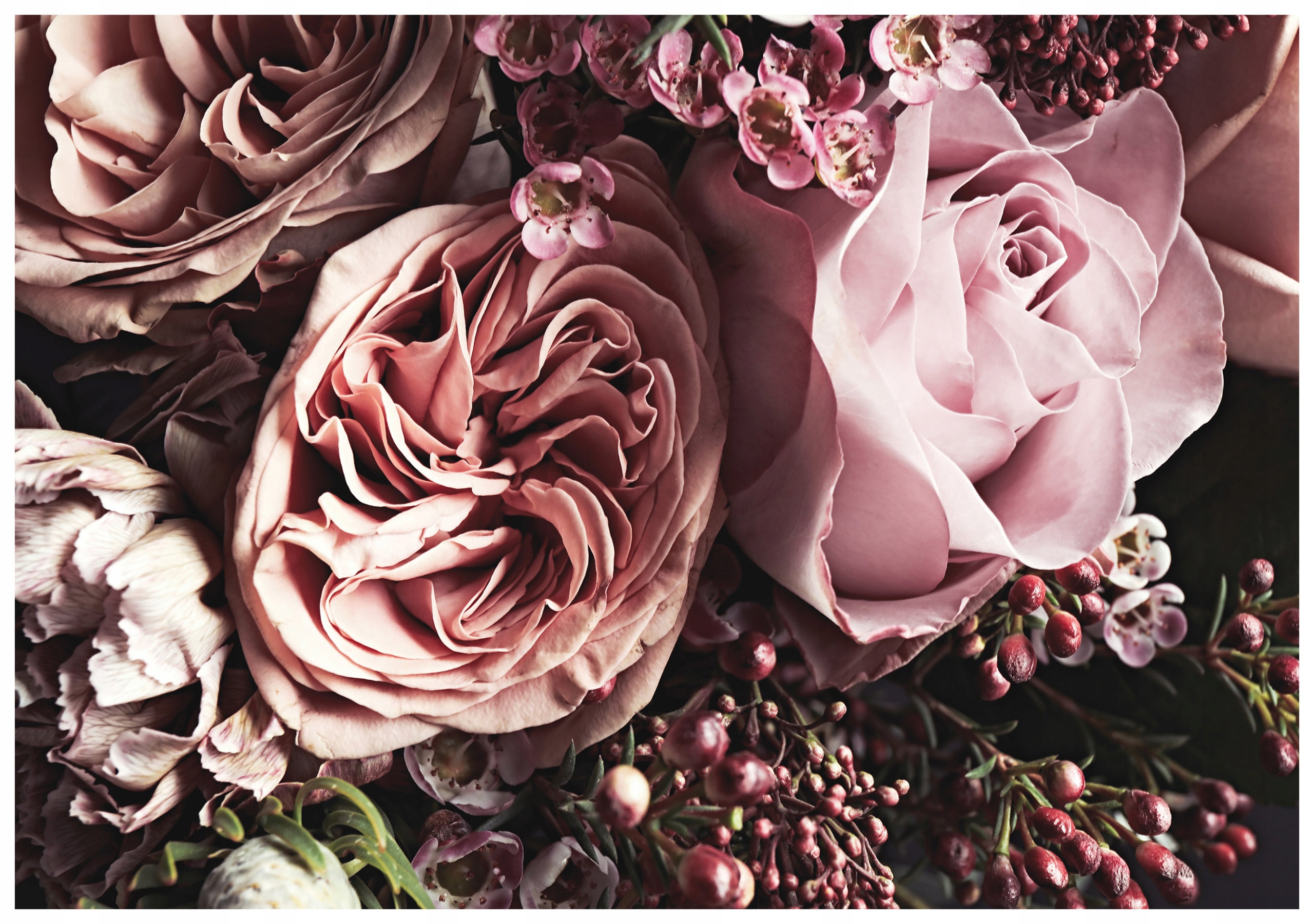 Fototapeta Růže a Pivoňky jemné barvy vinylová 254x184 Elegance lepidlo