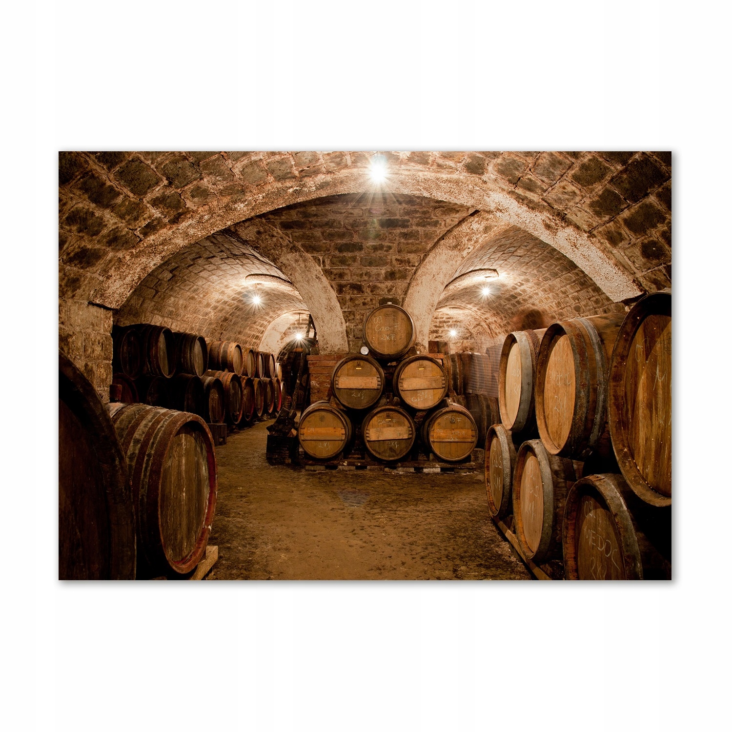 

Foto obraz szkło akrylowy Beczki w winnicy 100x70