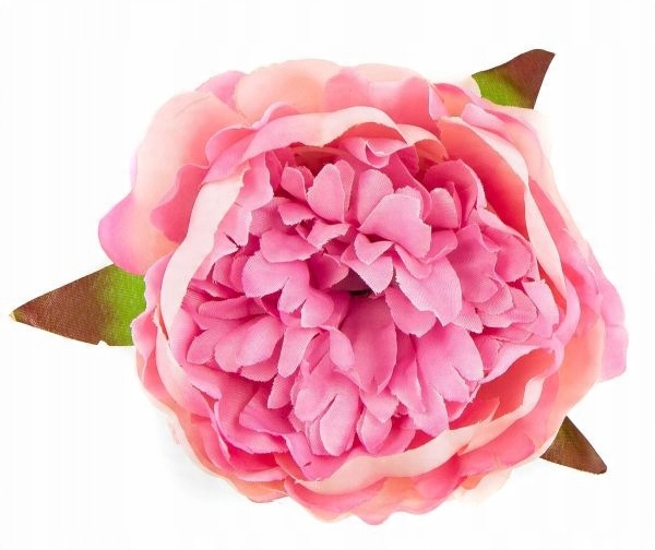 

Peonia tafta główka Kwiat Pudre Pink