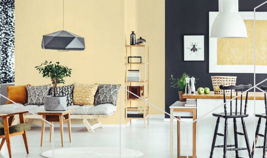 Fox Dekorátor Color Matt Latexová farba Vnútorná, 5 l Ncs S 0520-G90Y