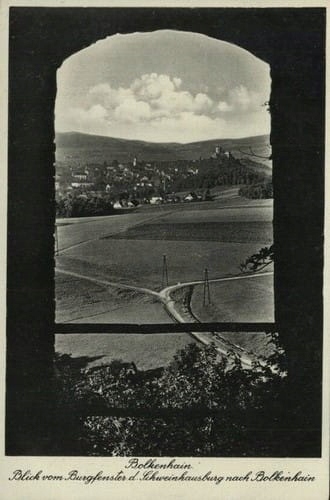 

Świny panorama Reprodukcja 21933