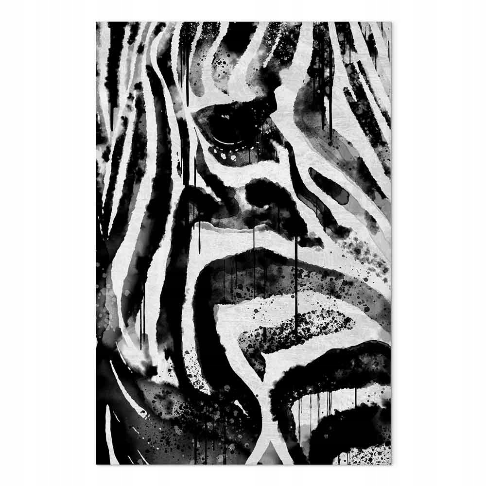 Obraz na plátně plátno Příroda Fauna Zvíře Portrét Zebra 60x90