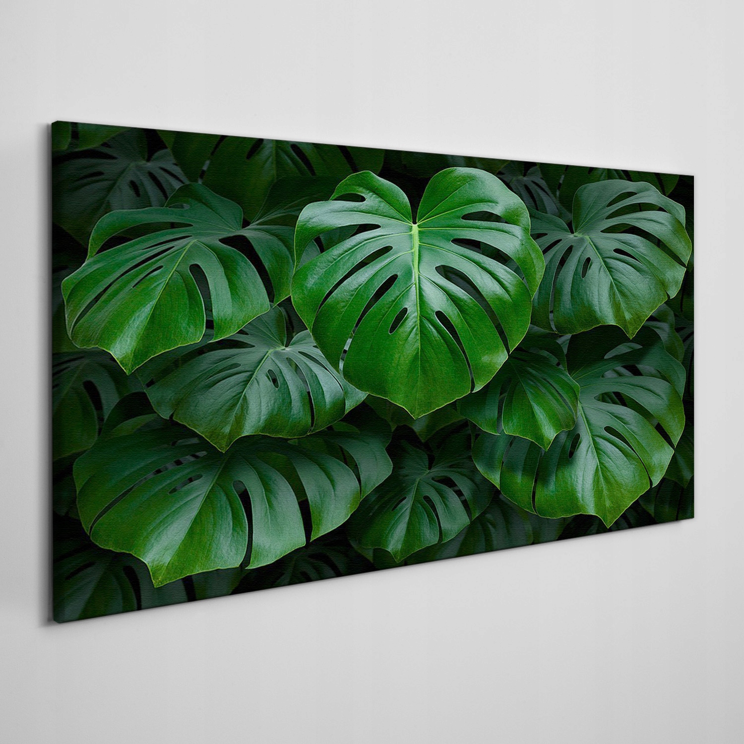 

Obraz ścienny na płótnie Liście rośliny 140x70 cm