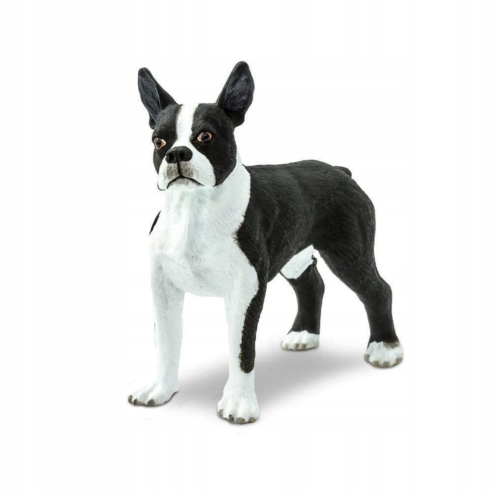 

Pies Boston Terrier Safari Ltd. 255029