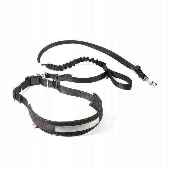 Levně Běžecký Set Se Psem Pas+vodítko Dingo L/XL