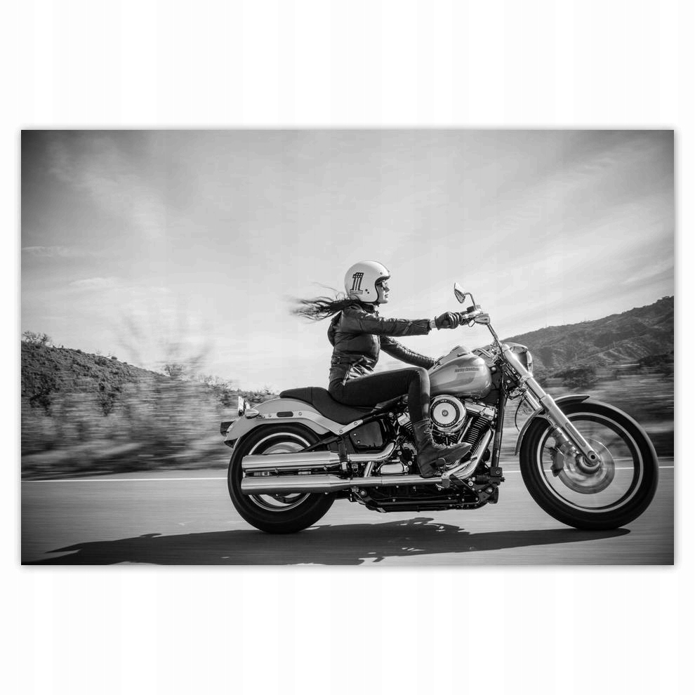 

Plakaty 60x40 Harley Davidson Motocykl