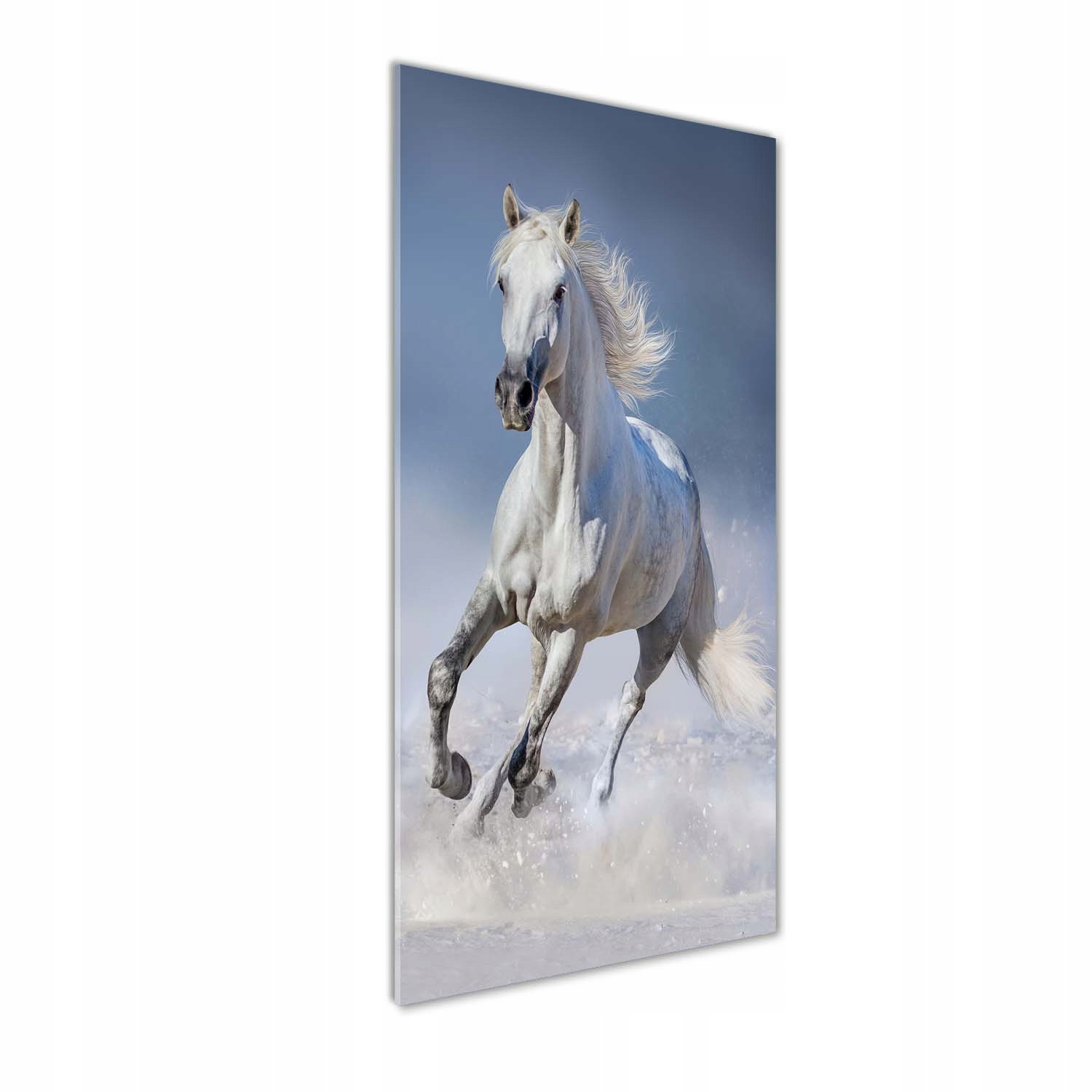 

Foto obraz akrylowy Biały koń w galopie 50x125cm
