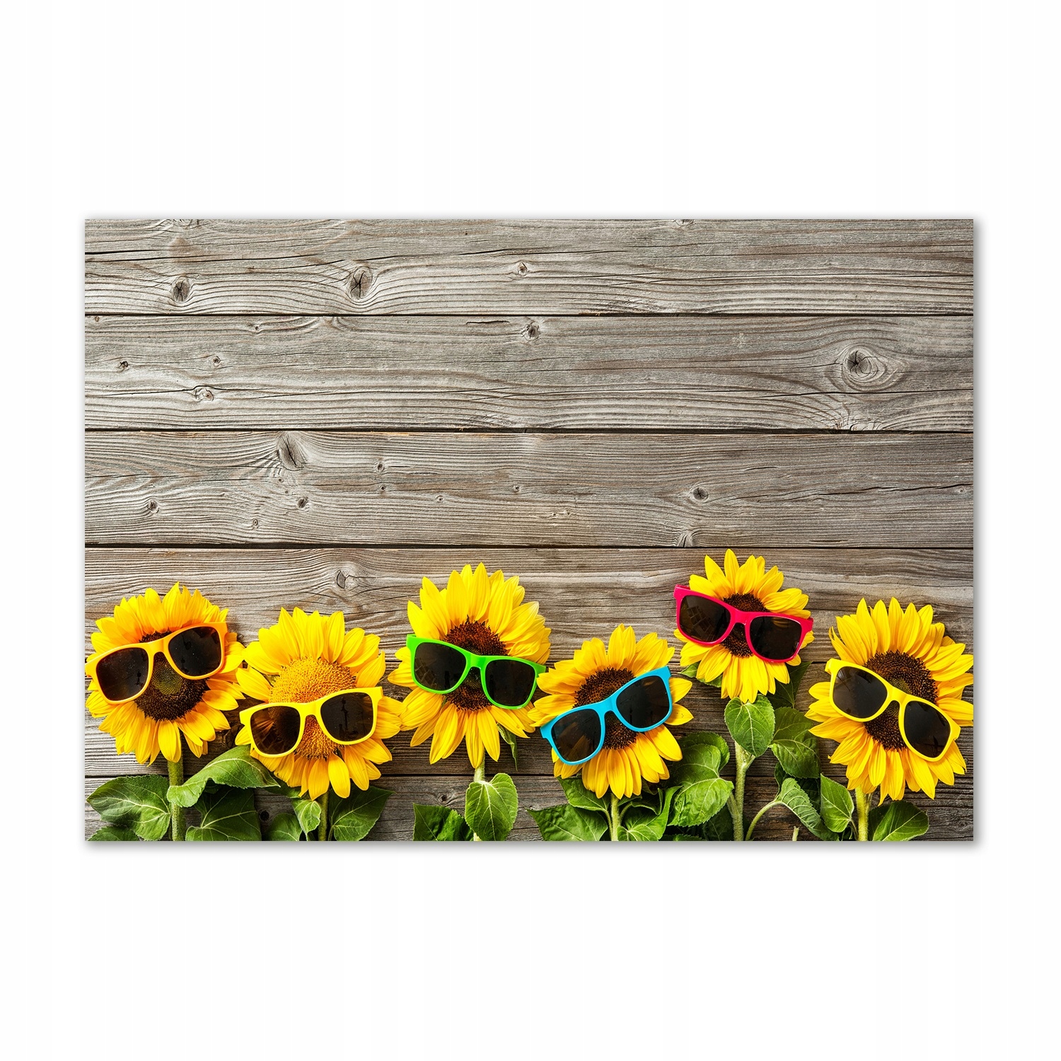 

Obraz zdjęcie szkło akrylowe Słoneczniki 100x70 cm