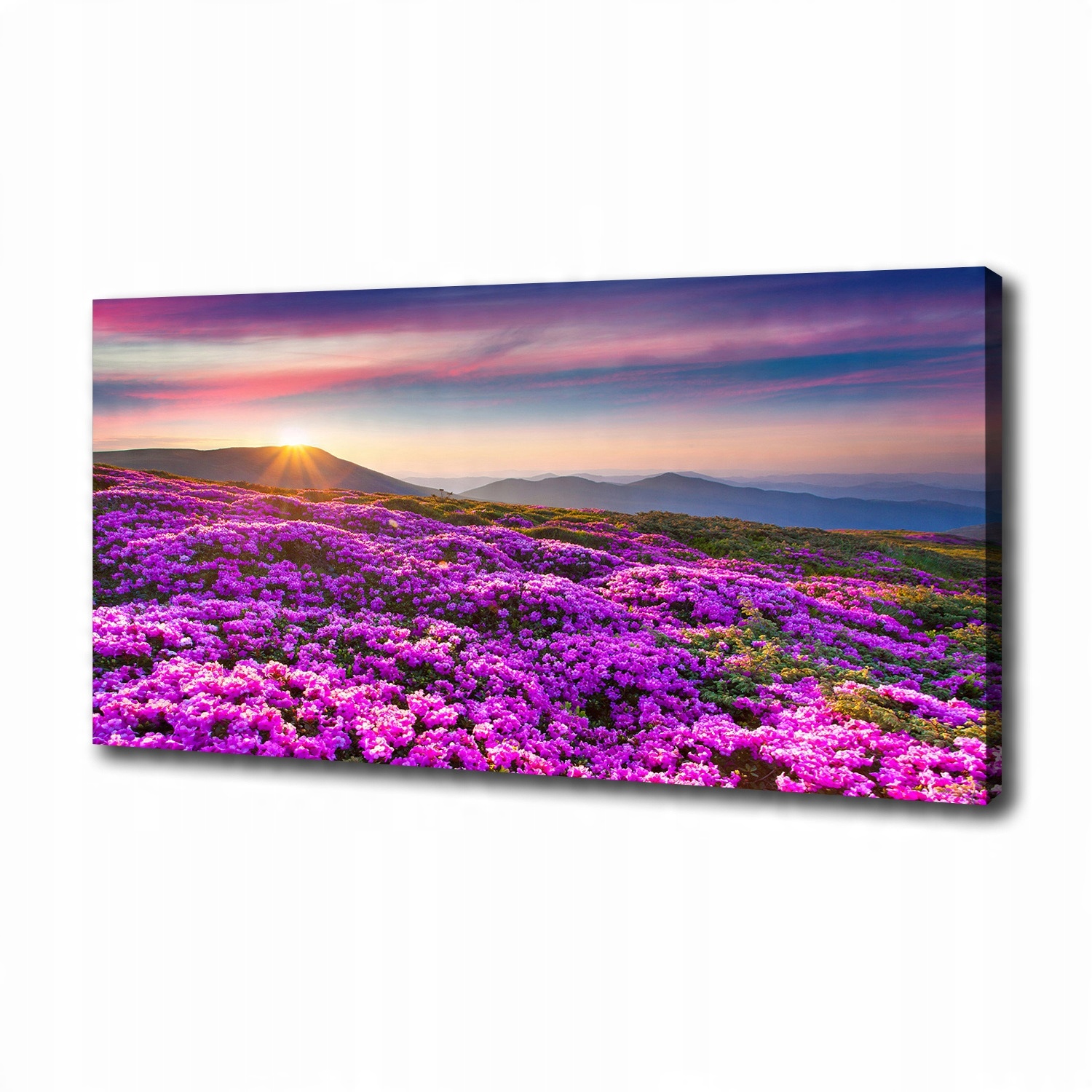 

Foto obraz na płótnie Kwiaty w górach 100x50 cm
