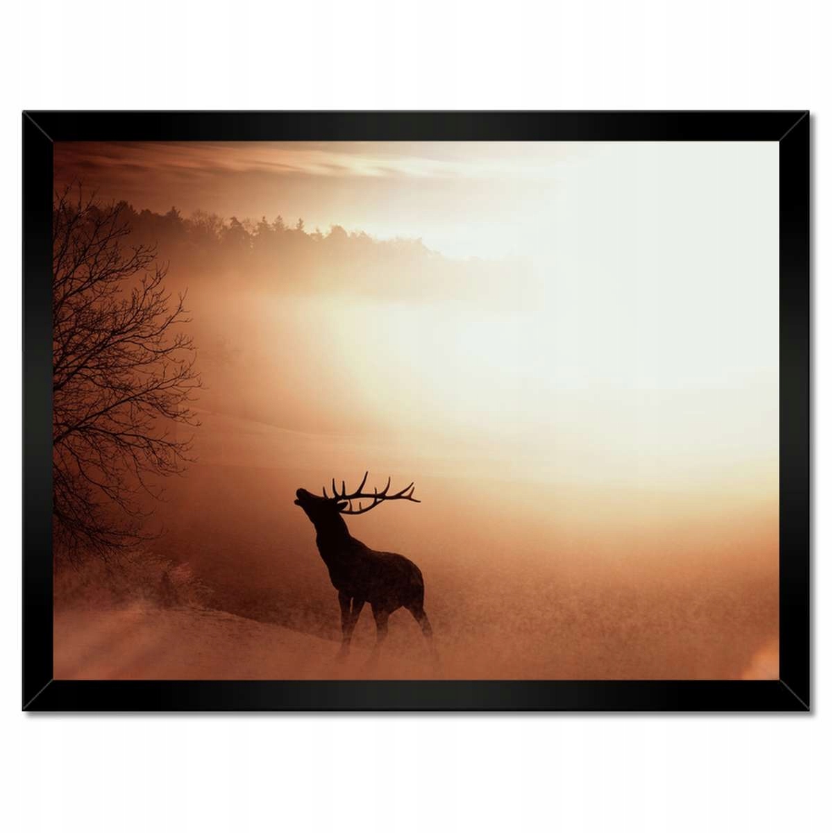 Plakáty v rámu 40x30 Jelen na okraji lesa