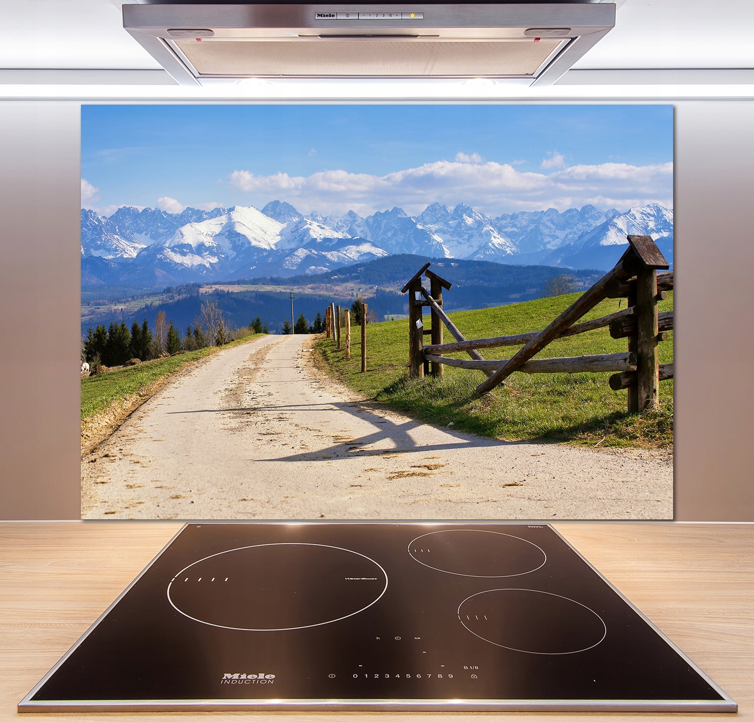 

Panel do kuchni Panorama Tatr 100x70 cm + Klej