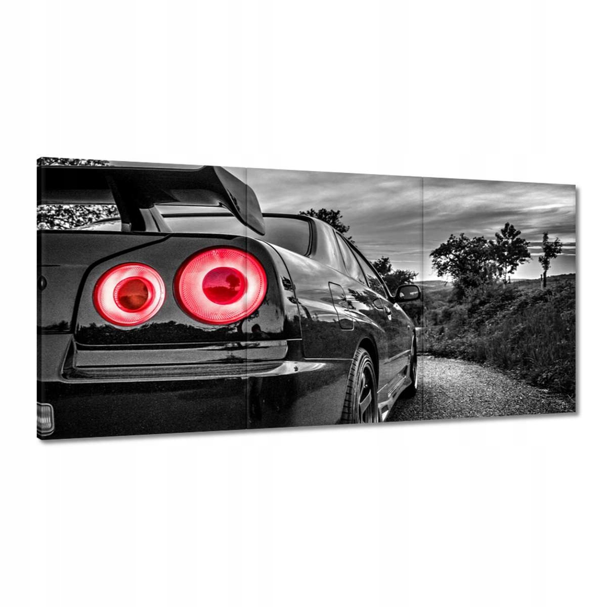 Obrazy 180x90 Nissan Skyline Sport Cars