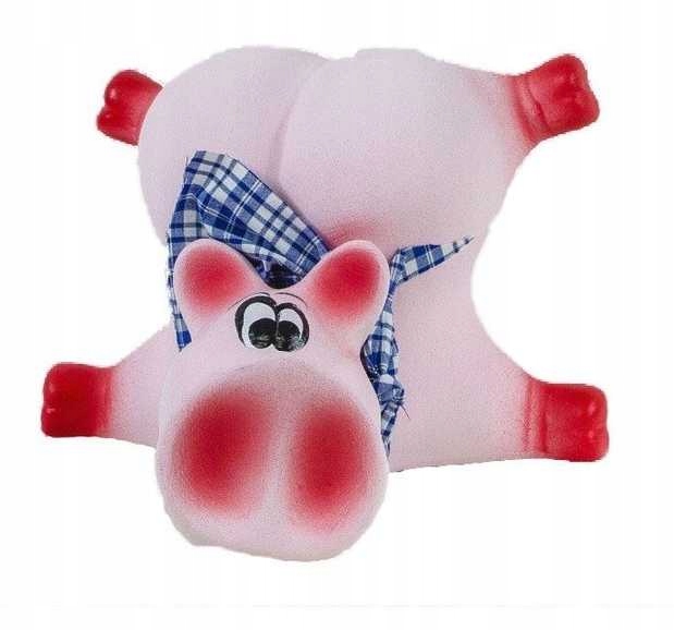 

Skarbonka Świnka XXL