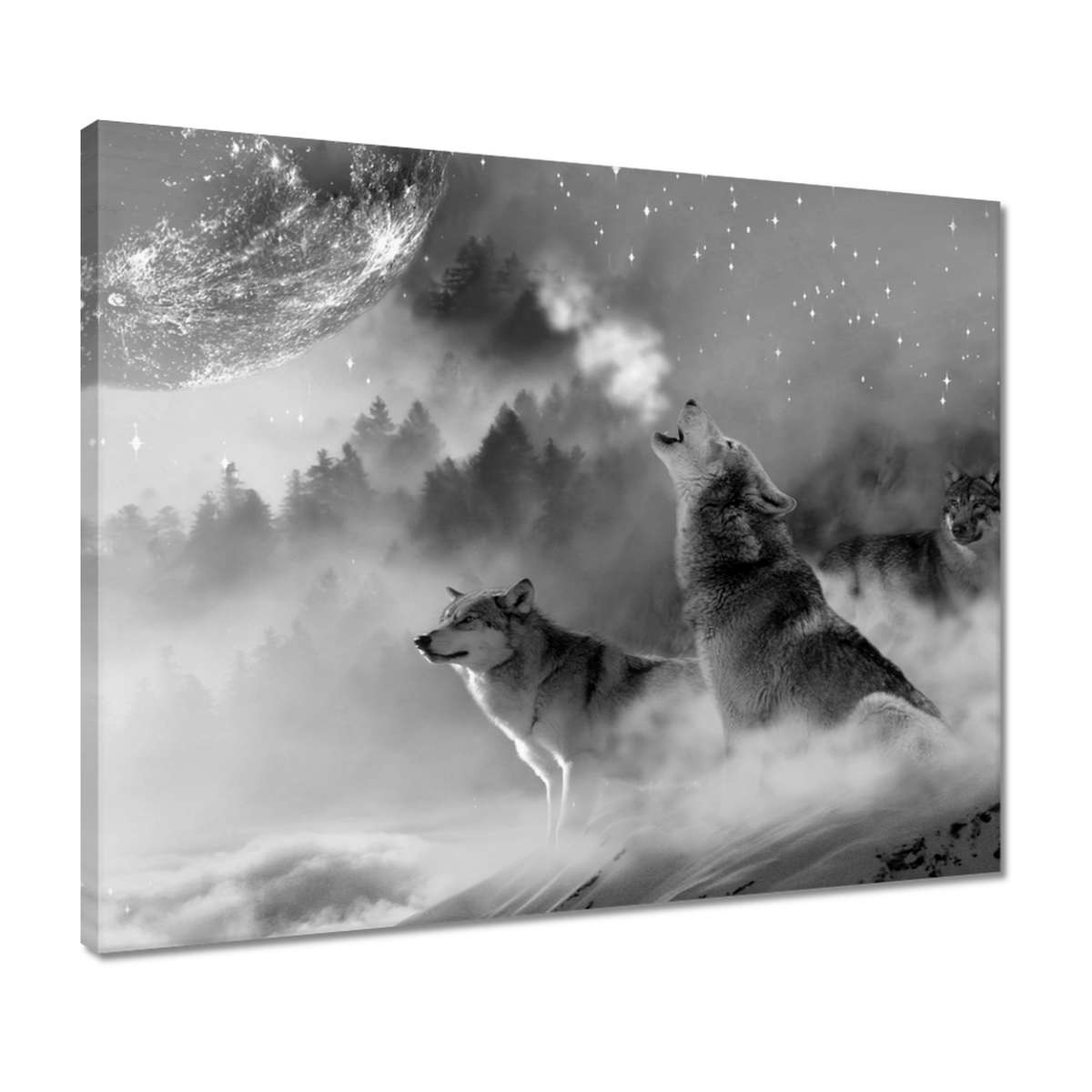

Obrazy 50x40 Wilk wyjący do księżyca