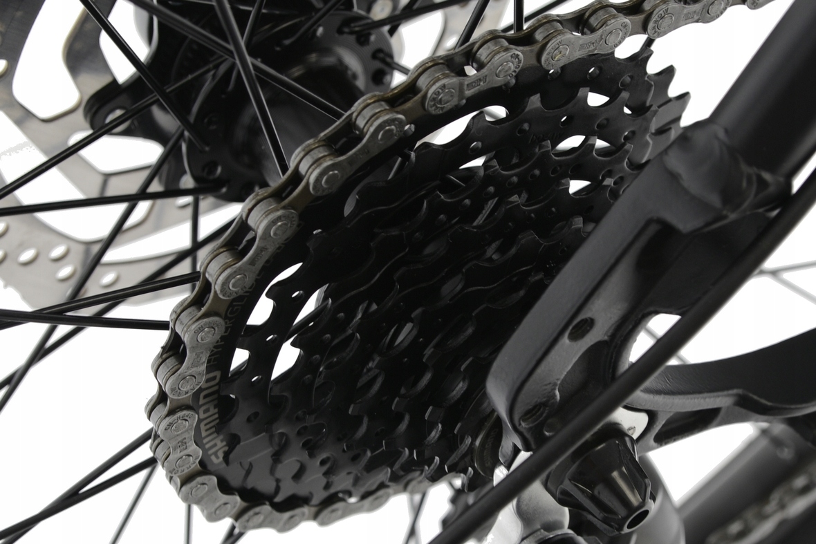 Rower MTB Kands 29 Comper altus hydr cz-sel 19"r23 Rozmiar koła (