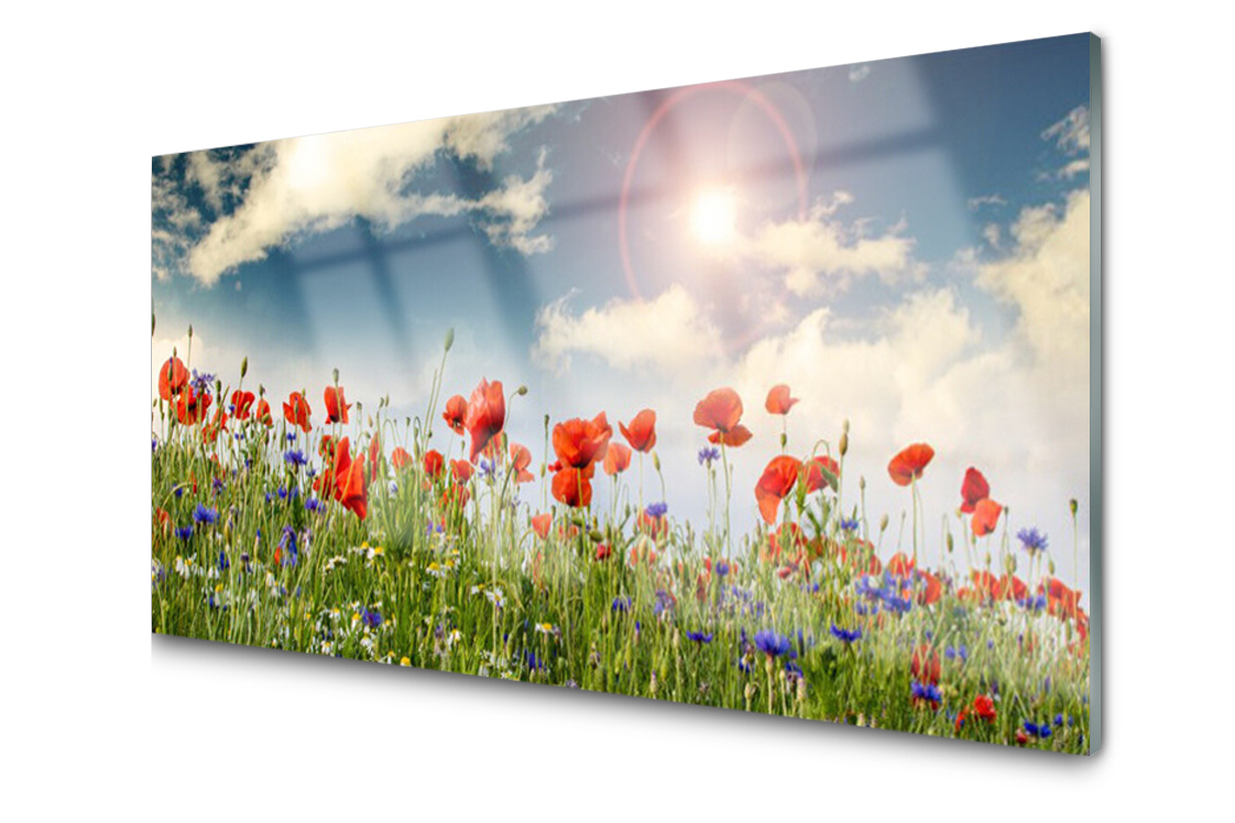 Obraz na skle Louka Květiny Slunce Příroda 120x60