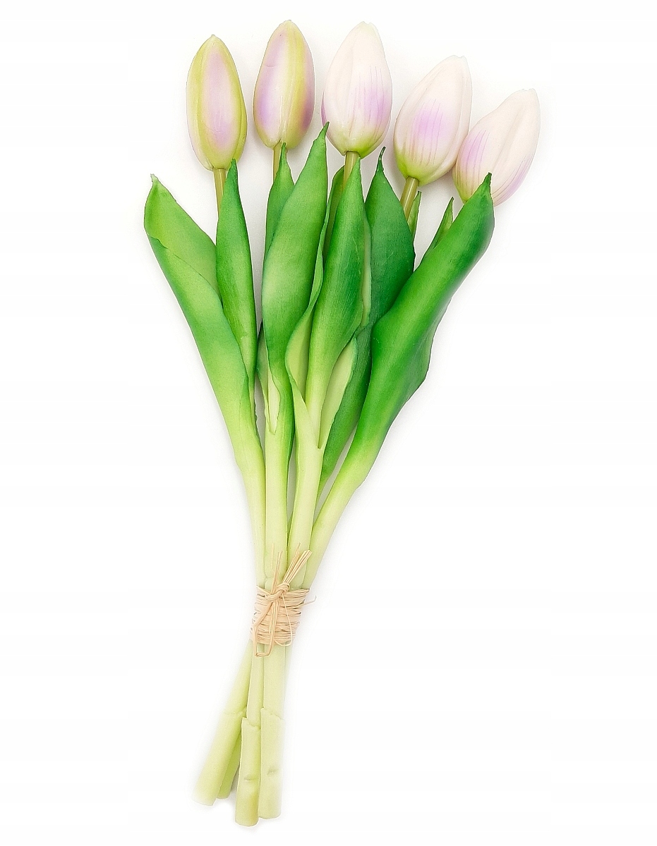 

Tulipan Silikonowy Tulipany Bukiet 5 szt Fioletowe