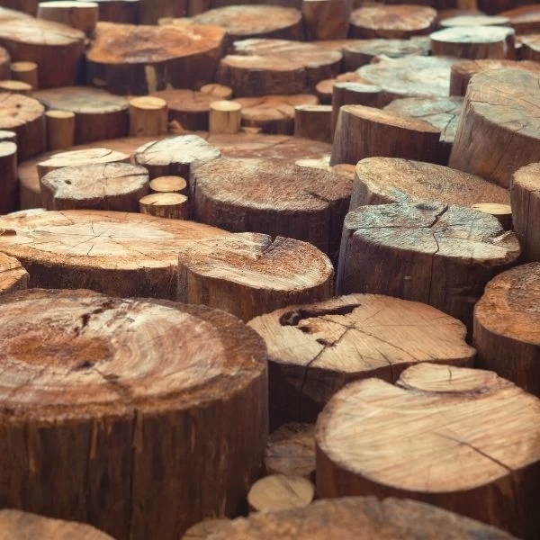 Pniak Do Rozłupywania Drewna Marka Stones Garden