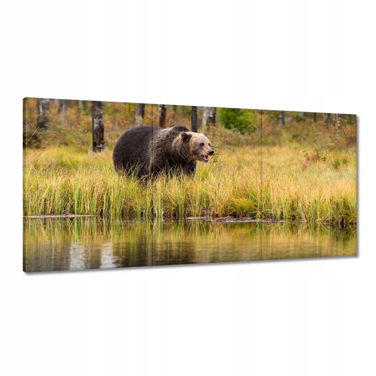 Obrazy 180x90 Zvieratá Zvieratká