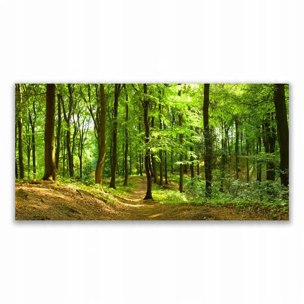 

Obraz wiszący na ścianę 140x70 Las Ścieżka Natura