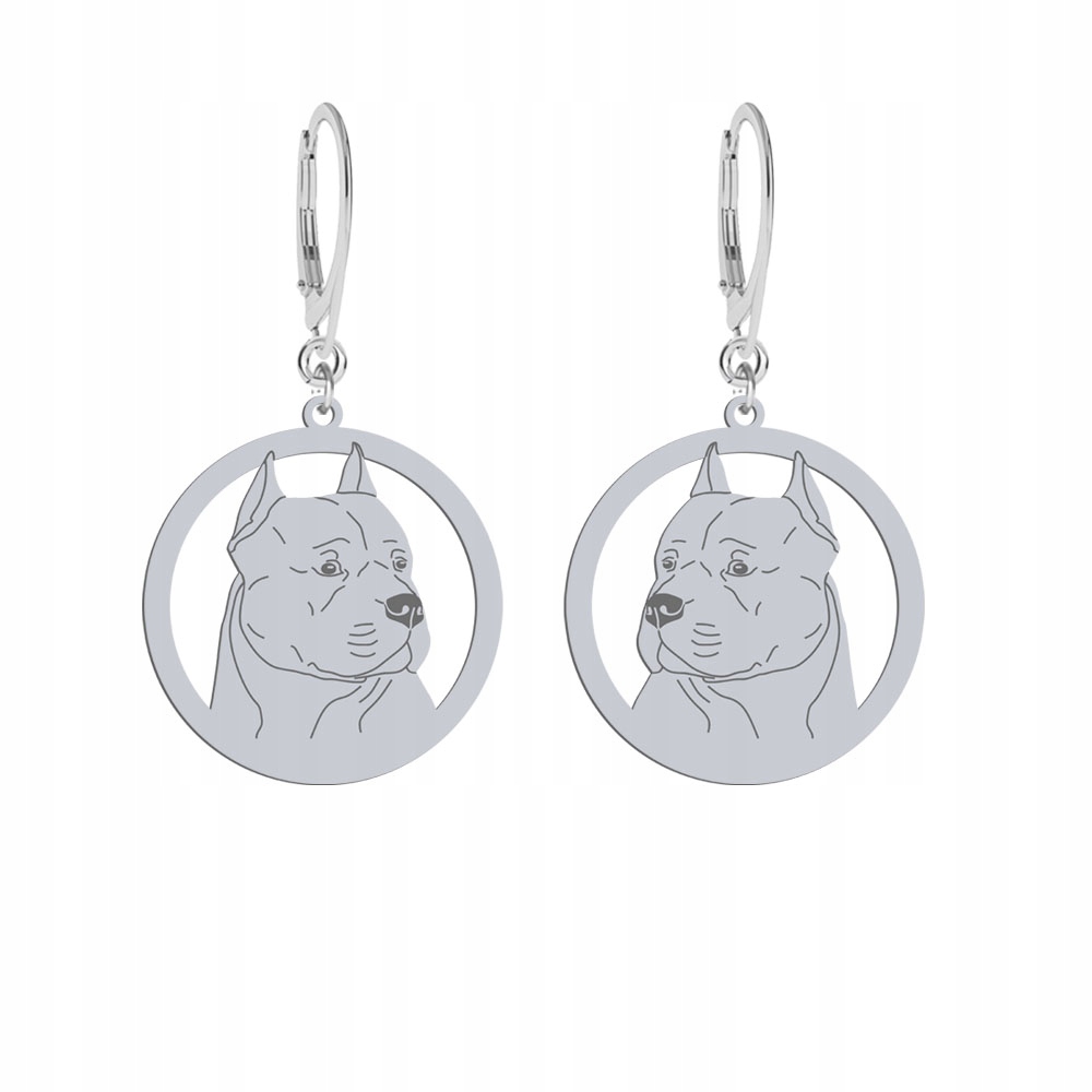 Stříbrné Náušnice Amstaff 925 Žena Šperky Dárek Gravírování Bonus